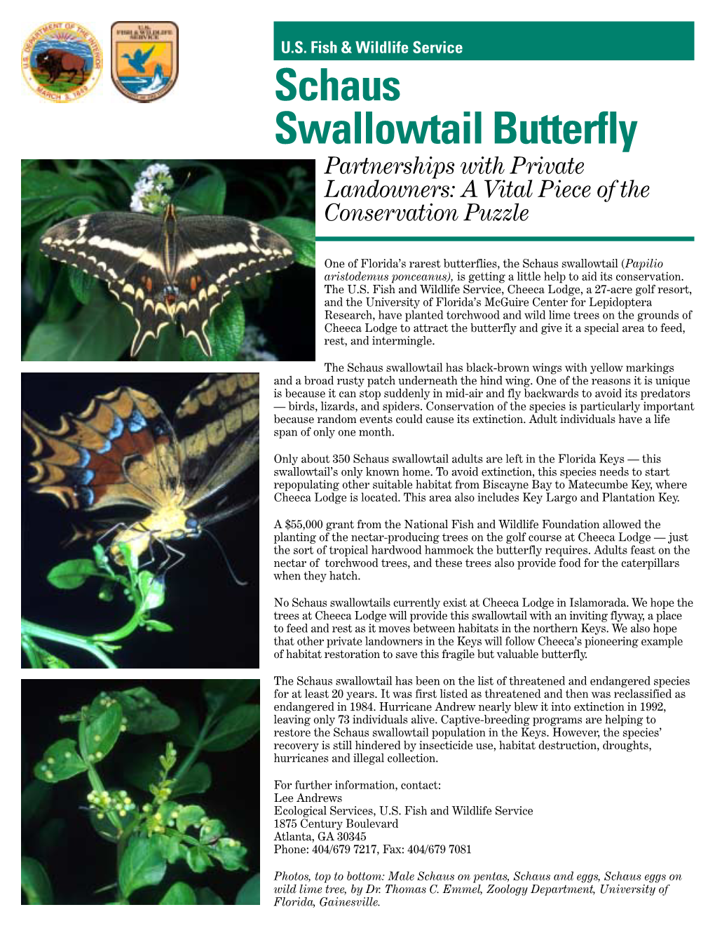 Schaus Swallowtail Butterfly Partnerships with Private Landowners: a Vital Piece of the Conservation Puzzle