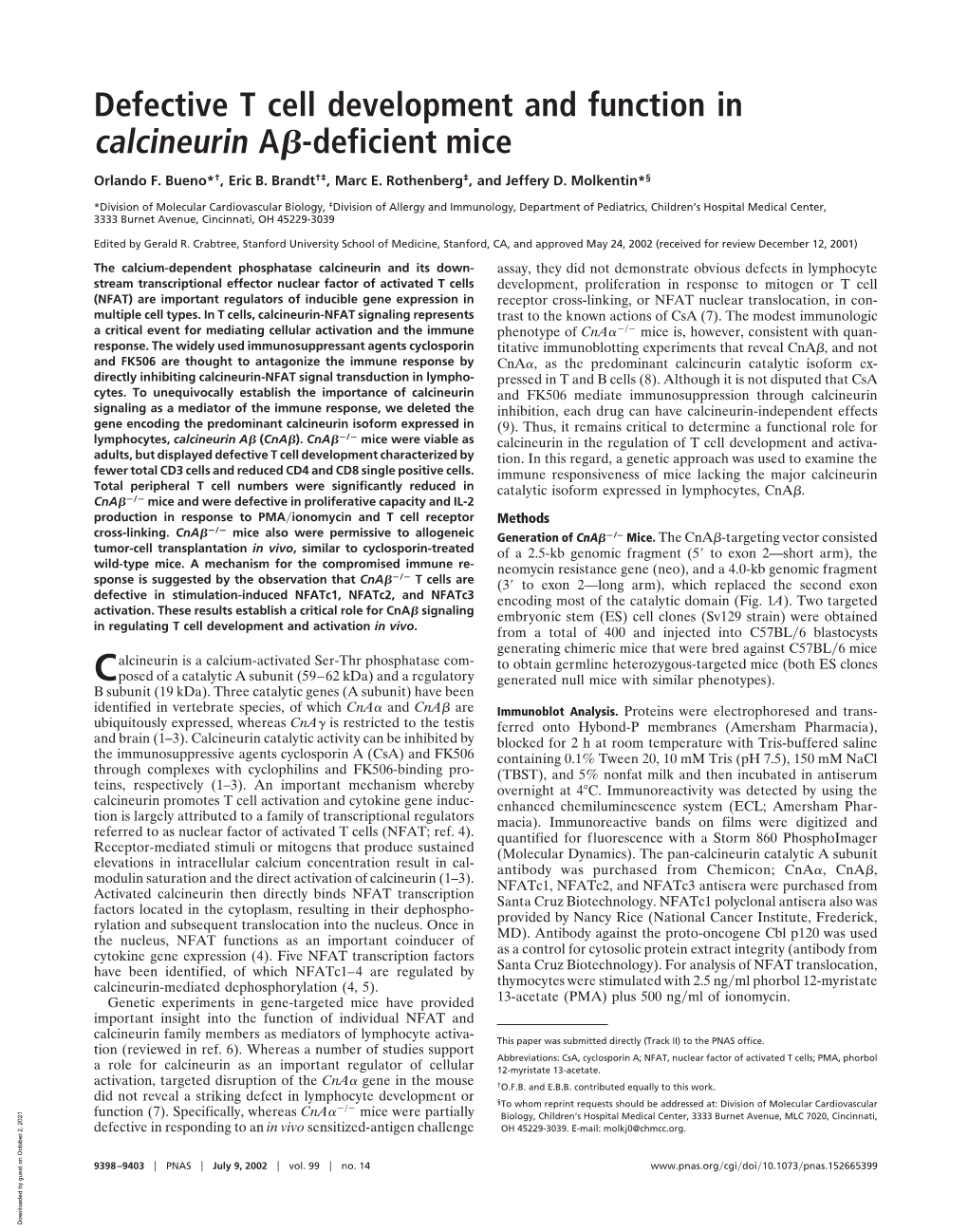 Defective T Cell Development and Function in Calcineurin a -Deficient