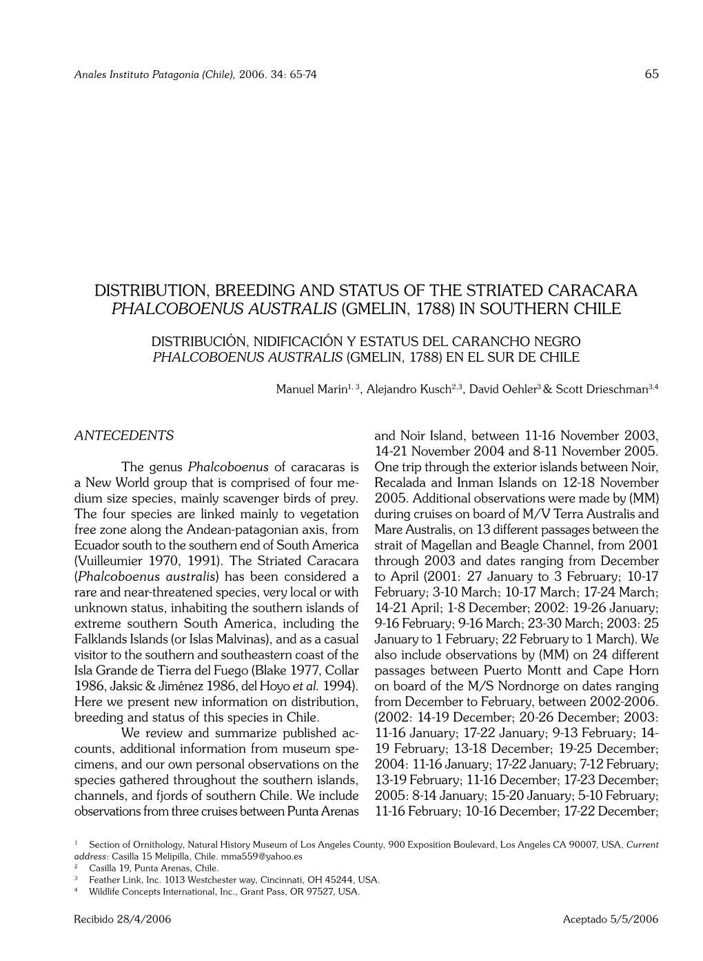 Distribution, Breeding and Status of the Striated Caracara Phalcoboenus Australis (Gmelin, 1788) in Southern Chile