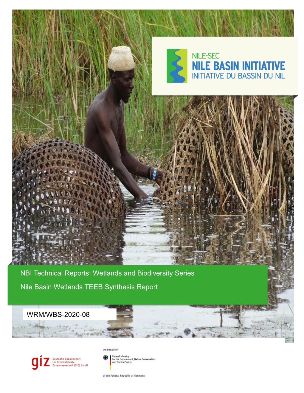 WRM/WBS-2020-08 Nile Basin Wetlands