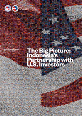 The Big Picture: Indonesia's Partnership with U.S. Investors
