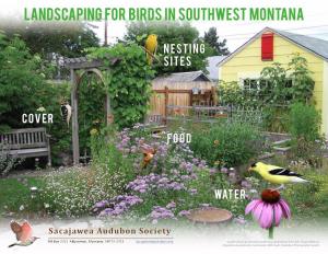 Landscaping for Birds in Southwest Montana