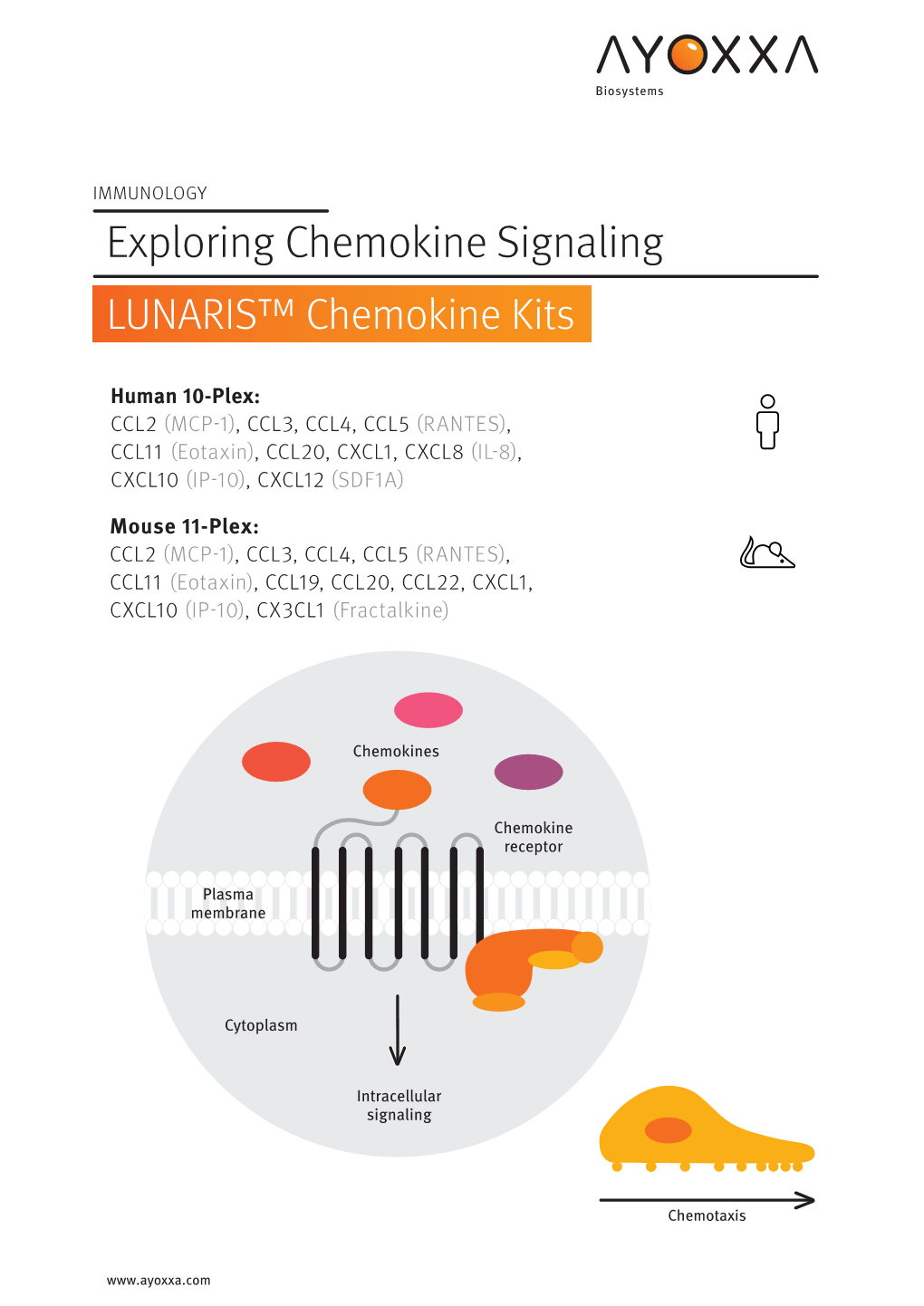 Exploring Chemokine Signaling LUNARIS™ Chemokine Kits