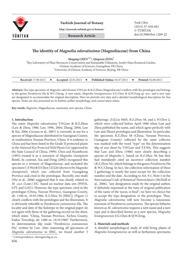 The Identity of Magnolia Odoratissima (Magnoliaceae) from China