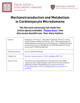 Mechanotransduction and Metabolism in Cardiomyocyte Microdomains