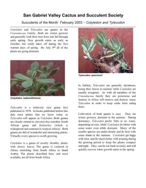 Succulents of the Month February 2003 – Cotyledon and Tylecodon