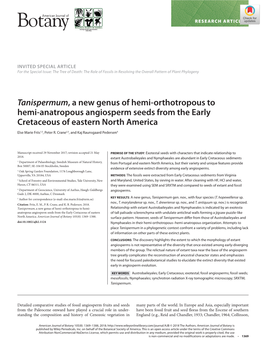 Tanispermum, a New Genus of Hemi‐Orthotropous to Hemi‐Anatropous Angiosperm Seeds from the Early Cretaceous of Eastern North