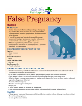 False Pregnancy