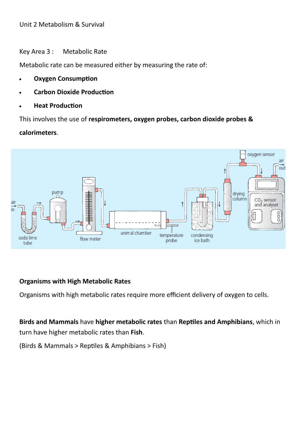 2.3 Metabolic Rate