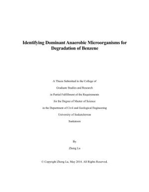Identifying Dominant Anaerobic Microorganisms for Degradation of Benzene