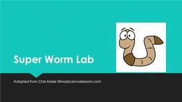 Super Worm Lab