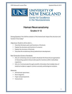 Human Neuroanatomy Grades 9-12