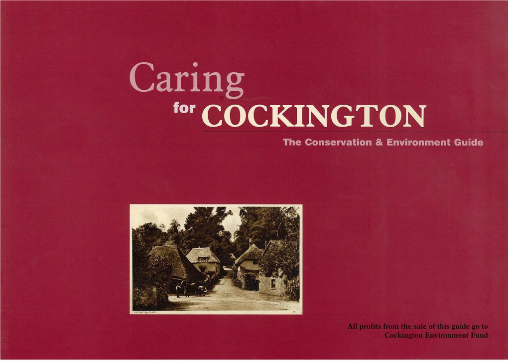 Caring for Cockington a Conservation and Environment