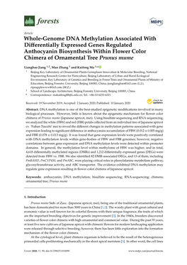 Whole-Genome DNA Methylation Associated with Differentially
