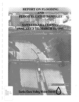 1995 Flood Report