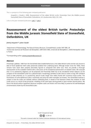 Reassessment of the Oldest British Turtle: Protochelys from the Middle Jurassic Stonesﬁeld Slate of Stonesﬁeld, Oxfordshire, UK