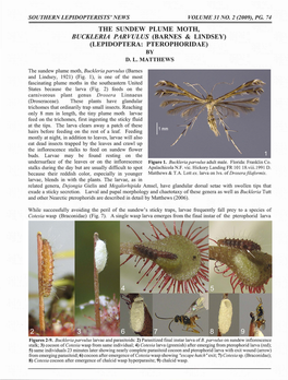 The Sundew Plume Moth, Buckleria Parvulus (Barnes & Lindsey) (Lepidoptera: Pterophoridae) by D