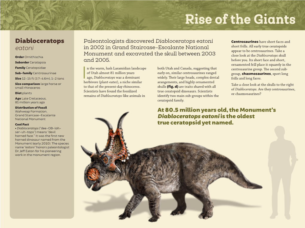 Diabloceratops Paleontologists Discovered Diabloceratops Eatoni Centrosaurines Have Short Faces and in 2002 in Grand Staircase–Escalante National Short Frills