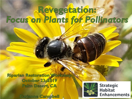 Plant Materials for Pollinator Conservation