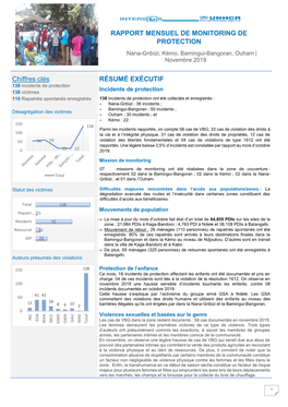 RAPPORT MENSUEL DE MONITORING DE PROTECTION Chiffres Clés RÉSUMÉ EXÉCUTIF