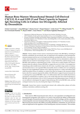 Human Bone Marrow Mesenchymal Stromal Cell-Derived