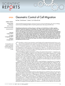 Geometric Control of Cell Migration
