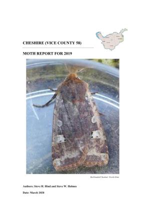 Moth Report for 2019
