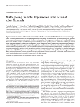 Wnt Signaling Promotes Regeneration in the Retina of Adult Mammals