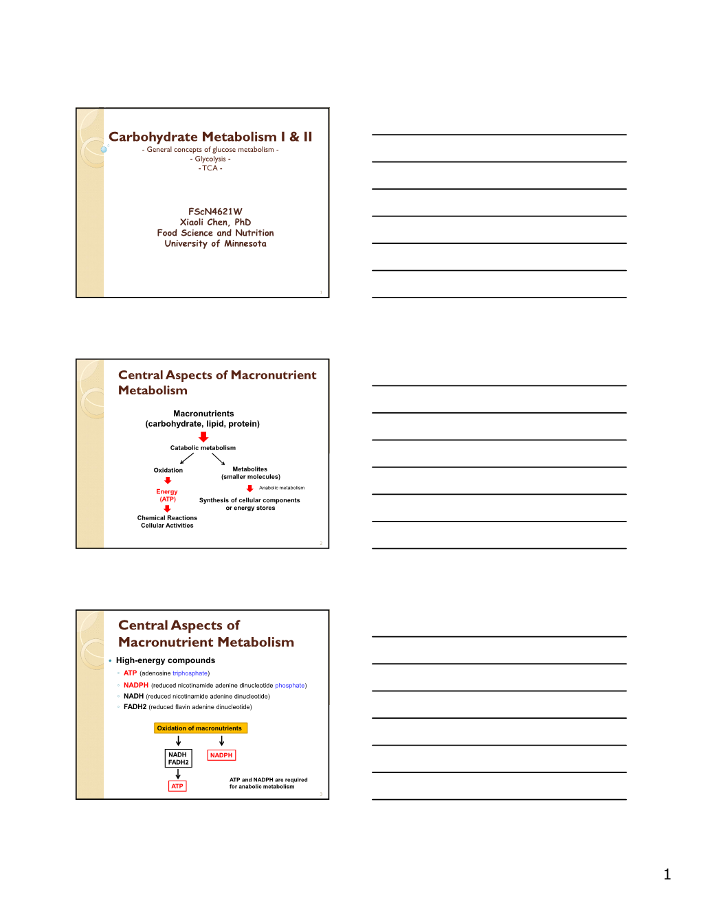 Carbohydrate Metabolism I & II Central Aspects of Macronutrient