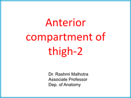 Anterior Compartment of Thigh-2