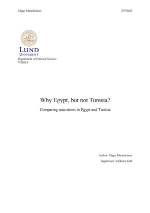 Why Egypt, but Not Tunisia?