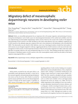 Migratory Defect of Mesencephalic Dopaminergic Neurons in Developing Reeler Mice