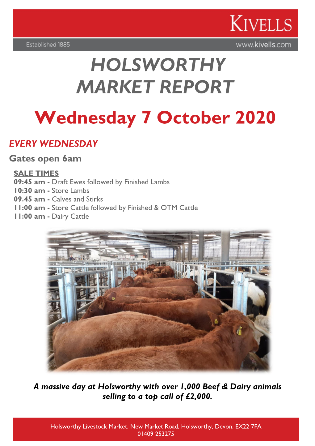 Holsworthy Market Report