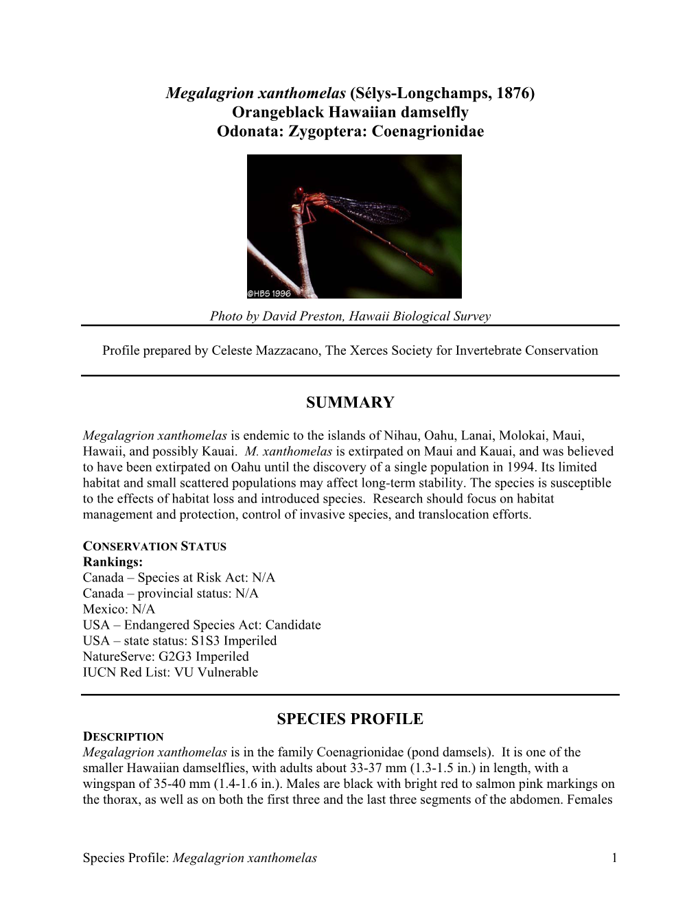 Megalagrion Xanthomelas (Sélys-Longchamps, 1876) Orangeblack Hawaiian Damselfly Odonata: Zygoptera: Coenagrionidae SUMMARY SPEC