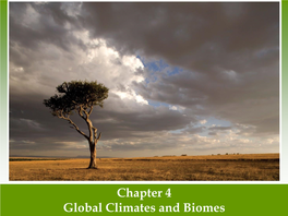 Chapter 4 Global Climates and Biomes Global Processes Determine Weather and Climate