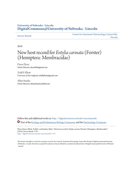 New Host Record for &lt;I&gt;Entylia Carinata&lt;/I&gt; (Forster) (Hemiptera: Membracidae)