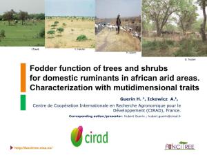 Fodder Function of Trees and Shrubs for Domestic Ruminants in African Arid Areas. Characterization with Mutidimensional Traits
