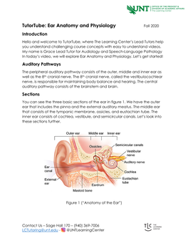Tutortube: Ear Anatomy and Physiology