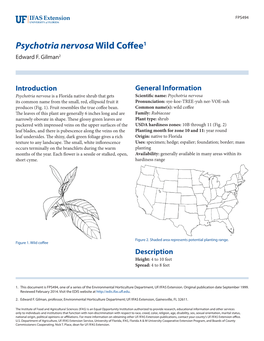 Psychotria Nervosa Wild Coffee1 Edward F