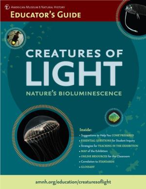 Nature's Bioluminescence