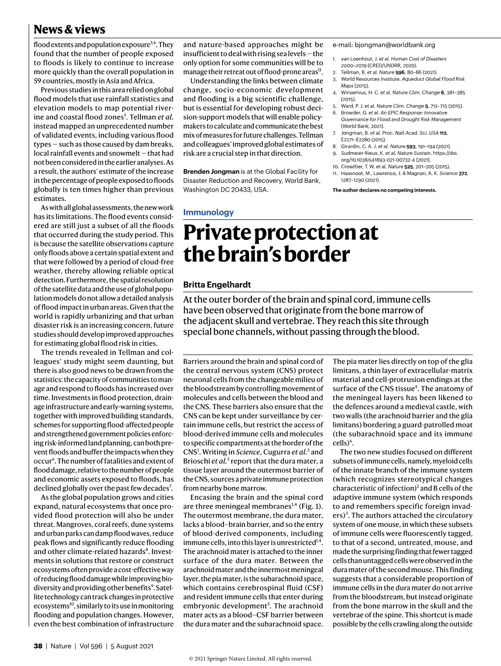 Private Protection at the Brain's Border