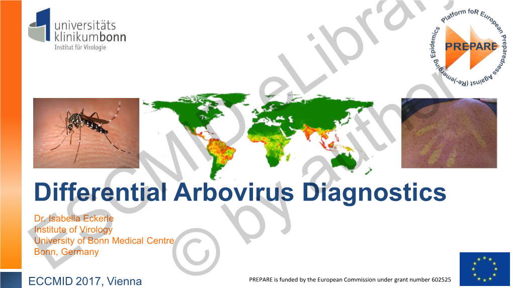 Differential Arbovirus Diagnostics Dr
