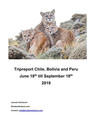 Chile, Bolivia and Peru, 2019