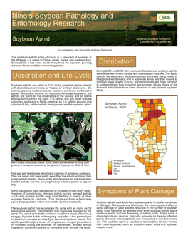Soybean Aphid National Soybean Research Laboratory, Factsheet #4