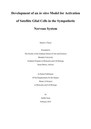 Development of an in Vitro Model for Activation of Satellite Glial Cells in The