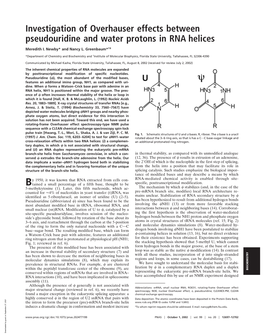 Investigation of Overhauser Effects Between Pseudouridine and Water Protons in RNA Helices