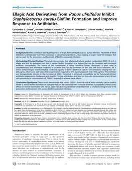 Ellagic Acid Derivatives from Rubus Ulmifolius Inhibit Staphylococcus Aureus Biofilm Formation and Improve Response to Antibiotics