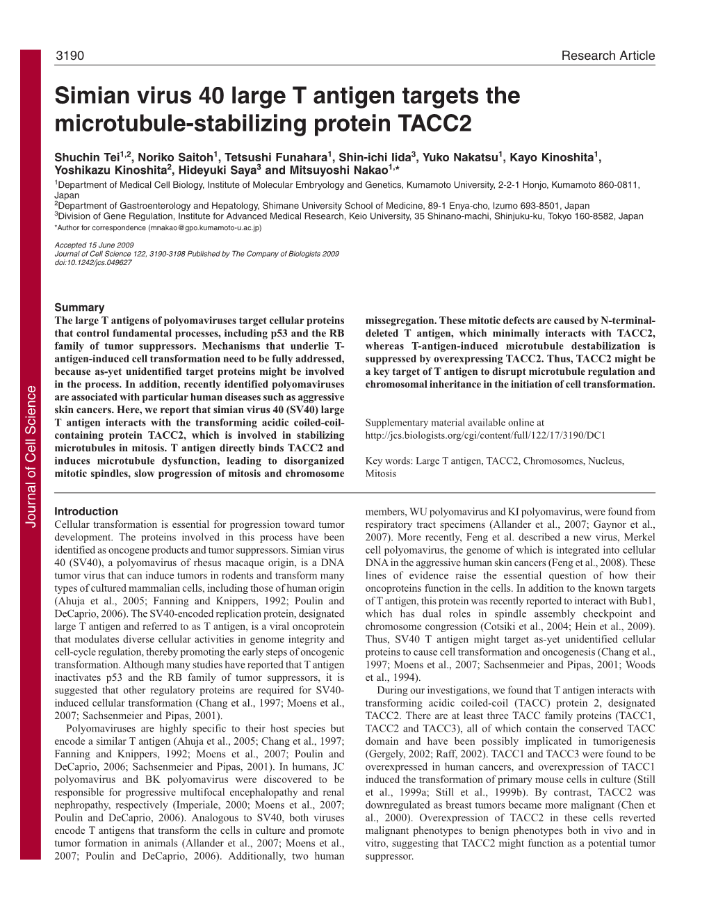 Simian Virus 40 Large T Antigen Targets the Microtubule-Stabilizing Protein TACC2