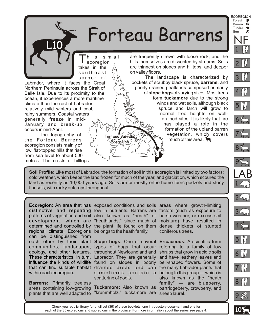 Forteau Barrens Ecoregion 10