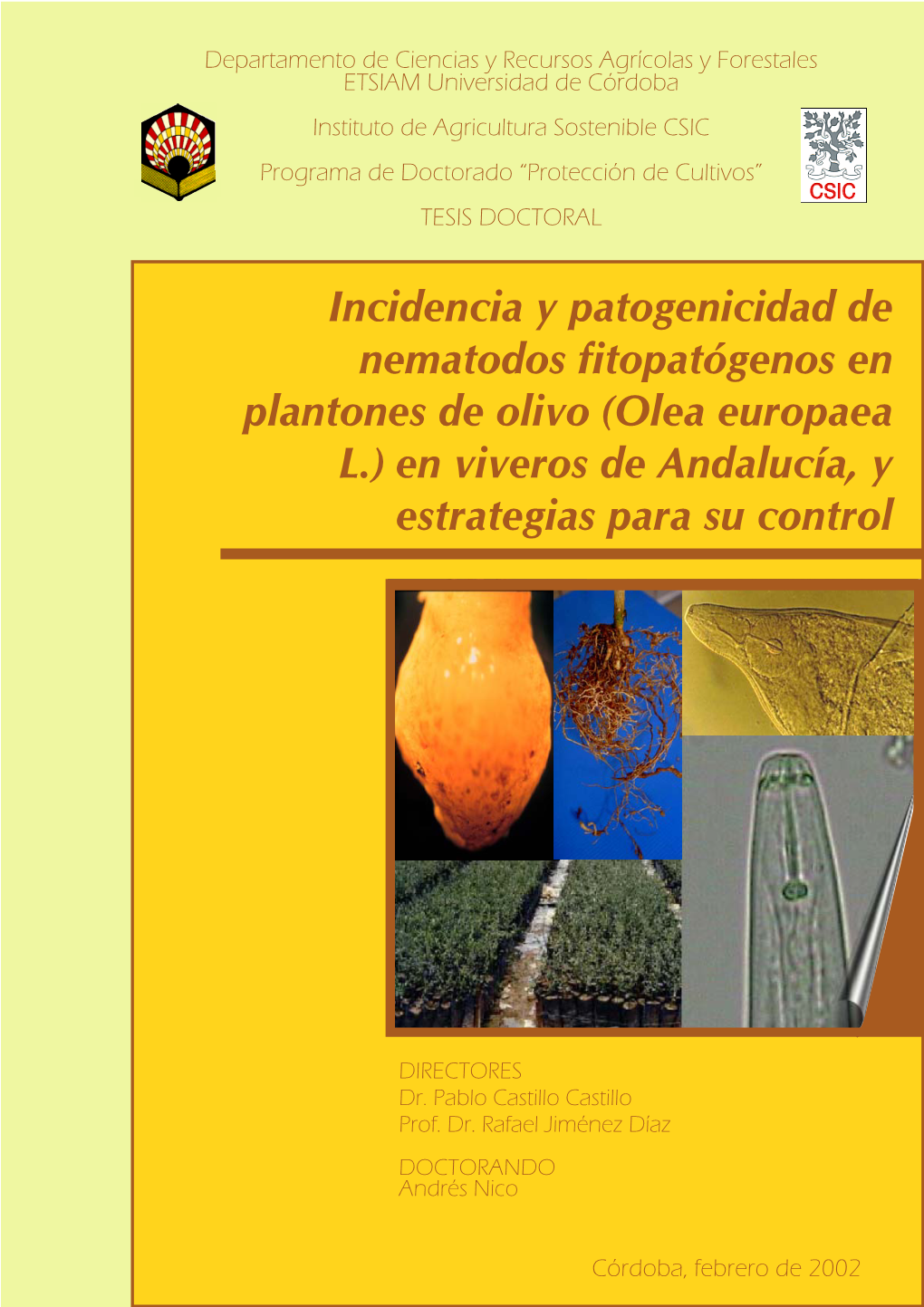 Incidencia Y Patogenicidad De Nematodos Fitopatógenos En Plantones De Olivo (Olea Europaea L.) En Viveros De Andalucía, Y Estrategias Para Su Control